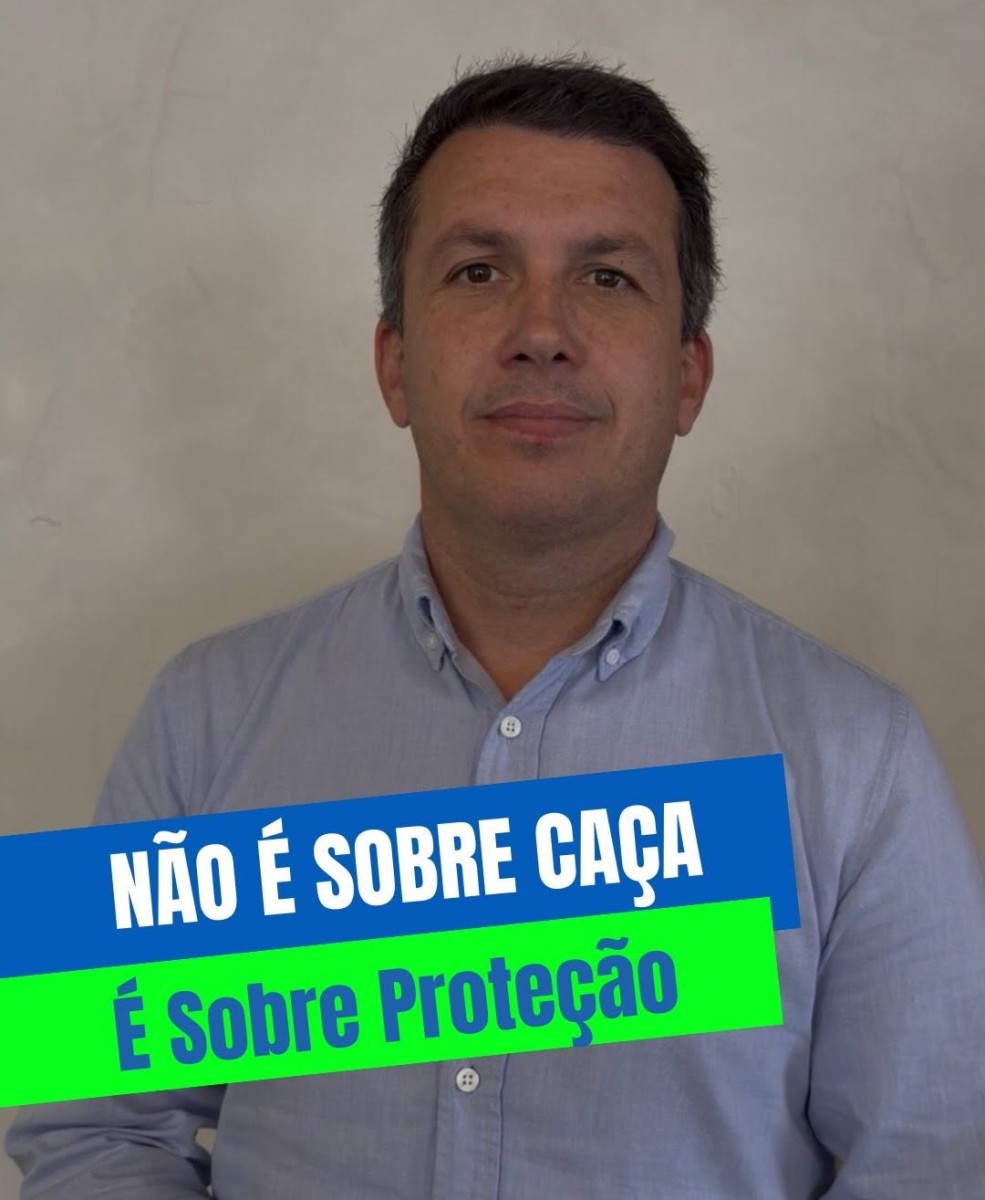 Deputado Camilo Martins encaminha projeto para pagar R$100 por javali abatido