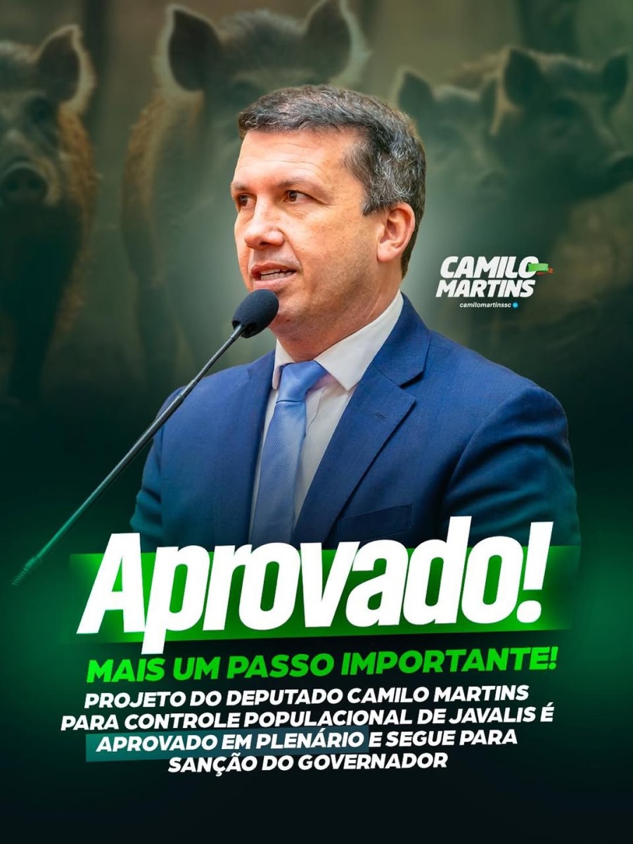 fotos/noticias_93.jpg